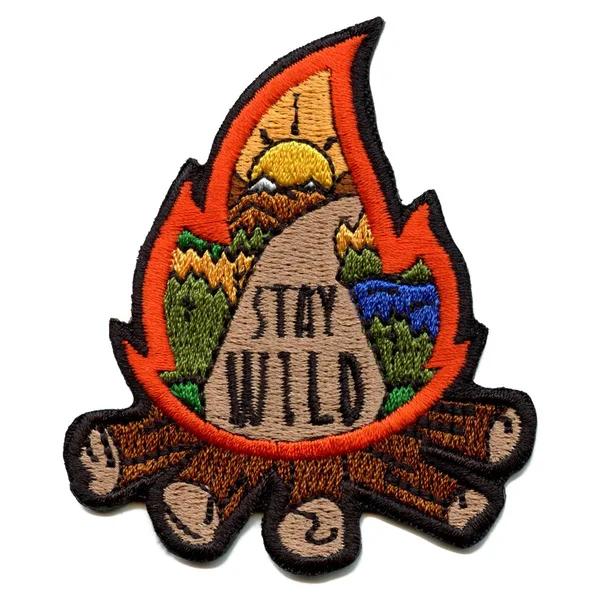 Patch tactique de Camping en plein air, boussole, loup, Patch brodé, boucle à crochet, Badge adapté