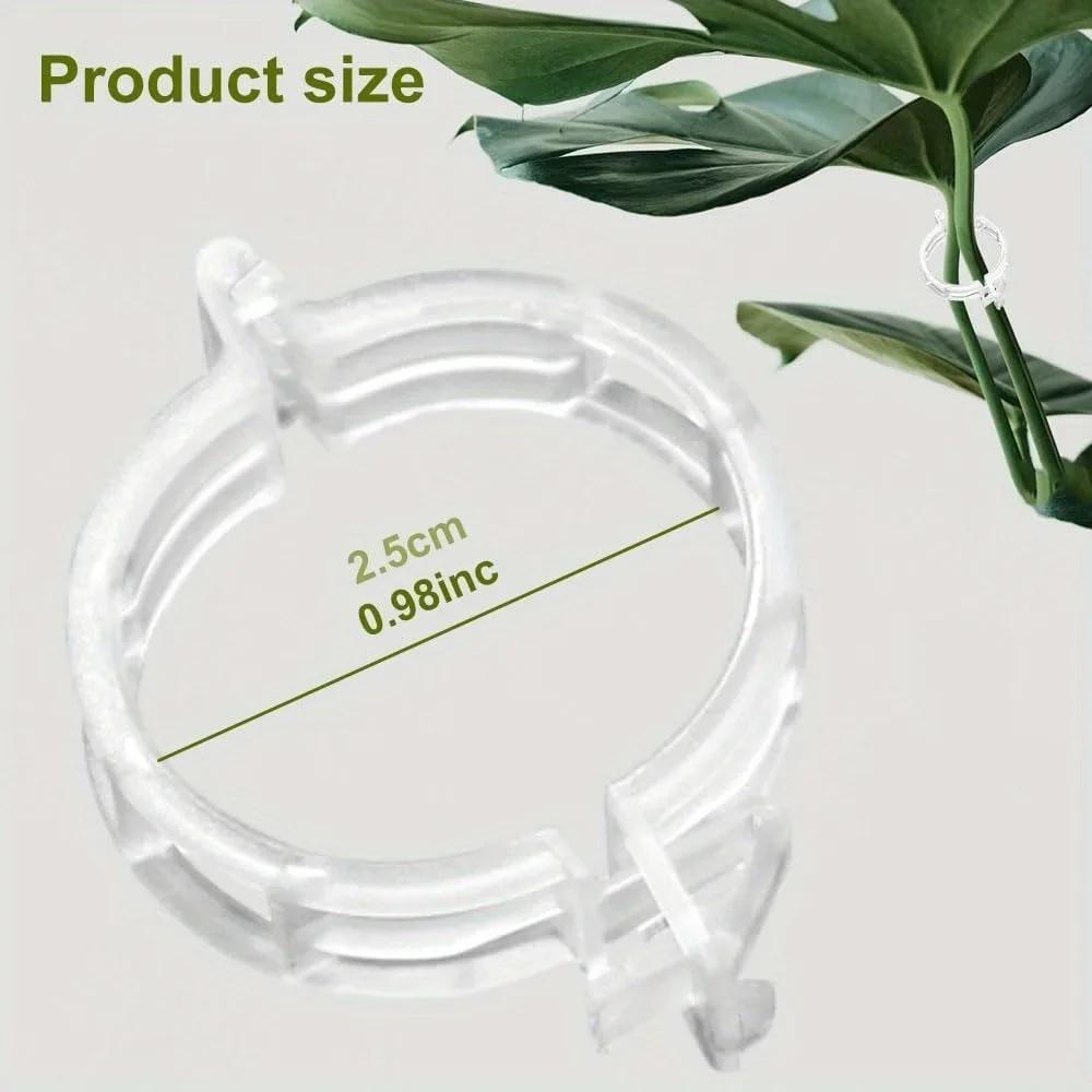 Réinitialisation de plante en plastique pour plantes grimpantes, Clips de support de plante, Treilli