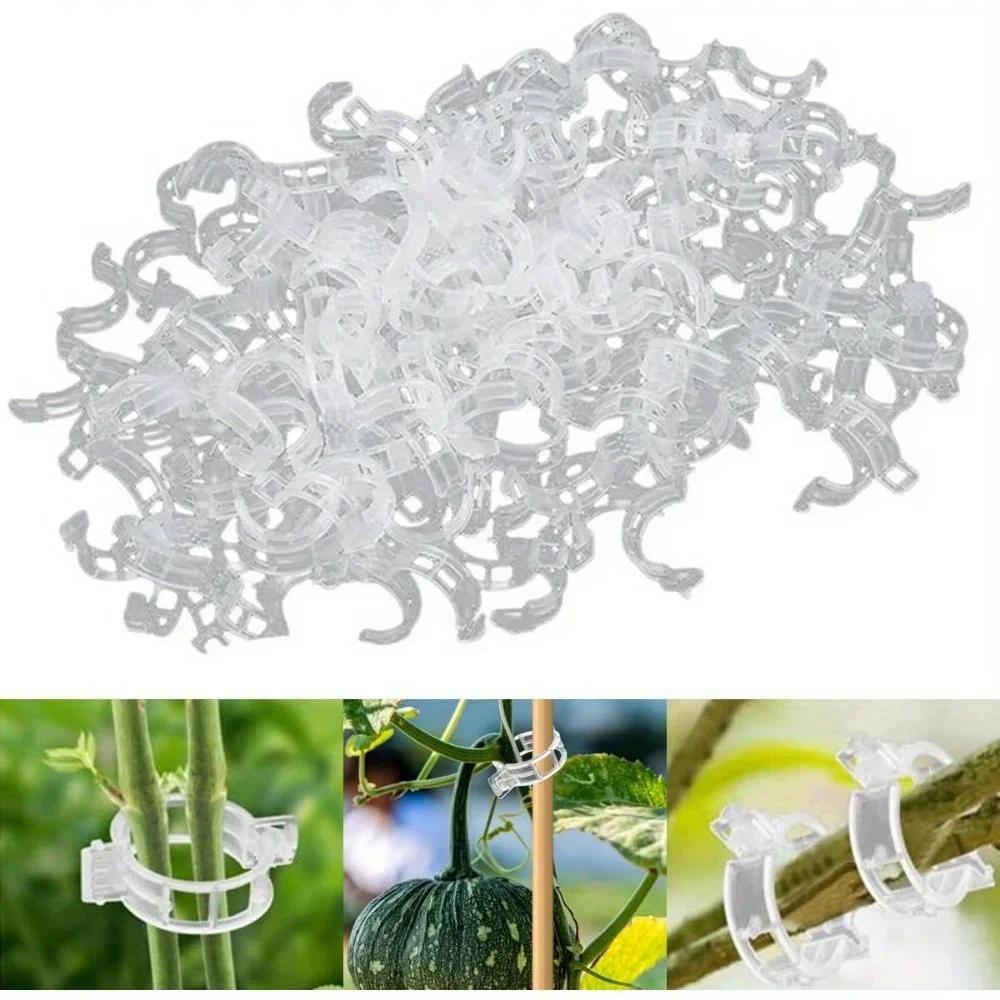Réinitialisation de plante en plastique pour plantes grimpantes, Clips de support de plante, Treilli