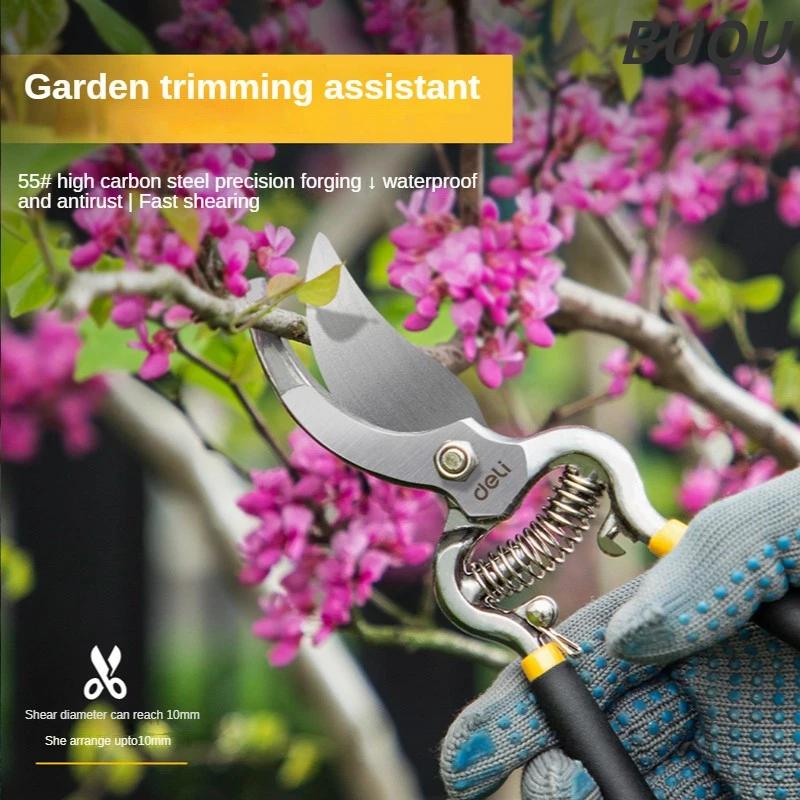 DELI 8 pouces sécateur de jardin ciseaux SK5 lame sécateur pour bonsaï arbres fruitiers fleurs Branc