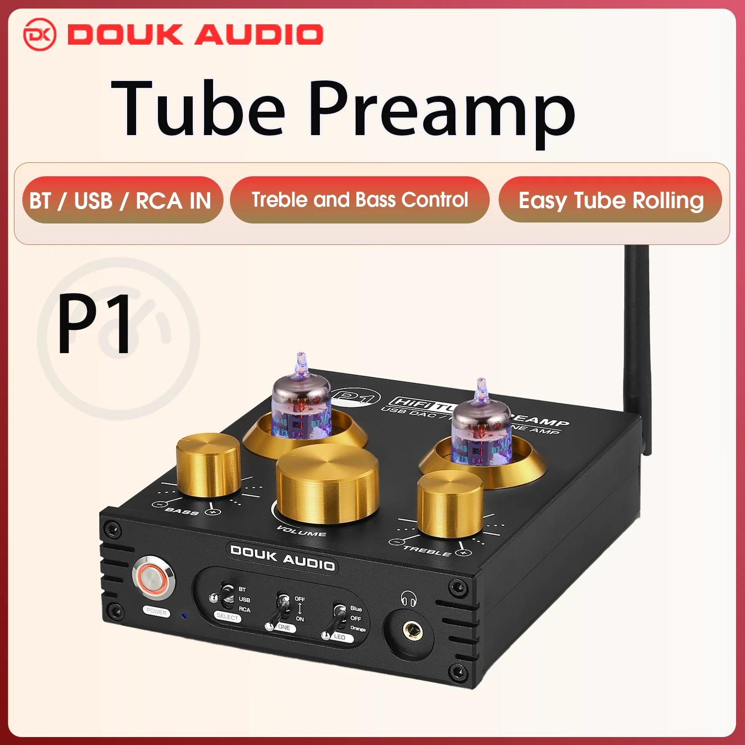Douk Audio P1 HiFi JAN5725 préampli à Tube sous vide Bluetooth 5.0 récepteur Audio USB DAC amplifica