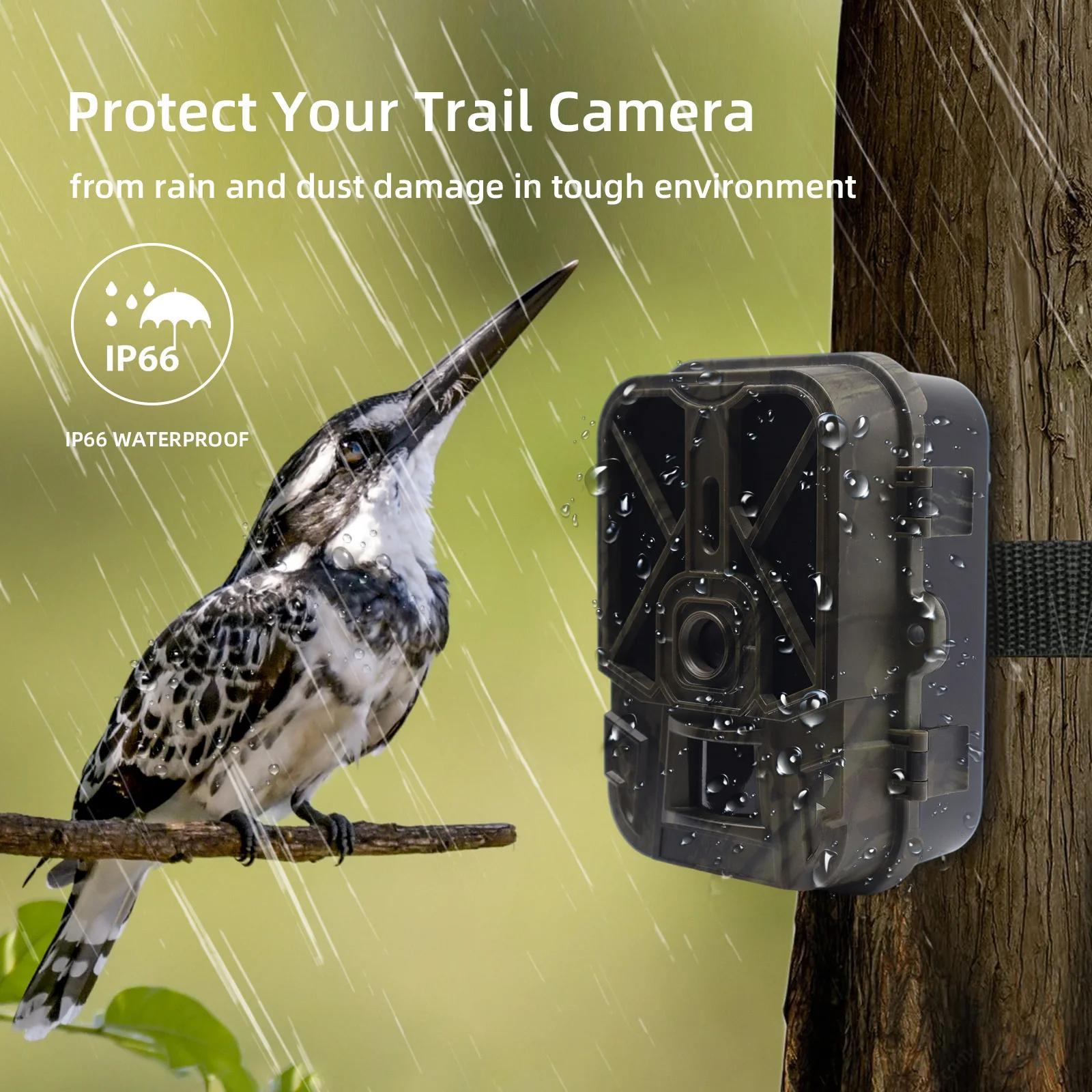 Caméra de chasse 4K avec diffusion en direct, 30MP, WiFi, Bluetooth, sans réseau 4G, avec batterie L