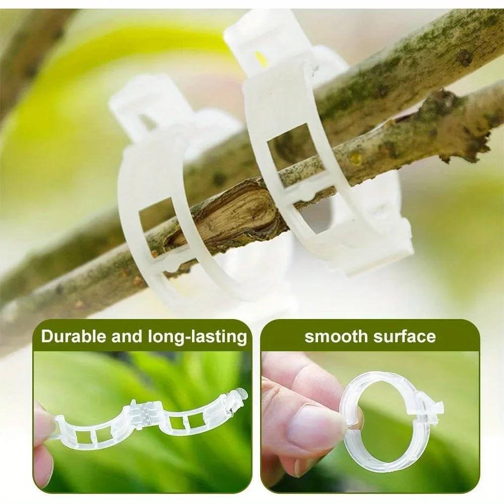 Réinitialisation de plante en plastique pour plantes grimpantes, Clips de support de plante, Treilli
