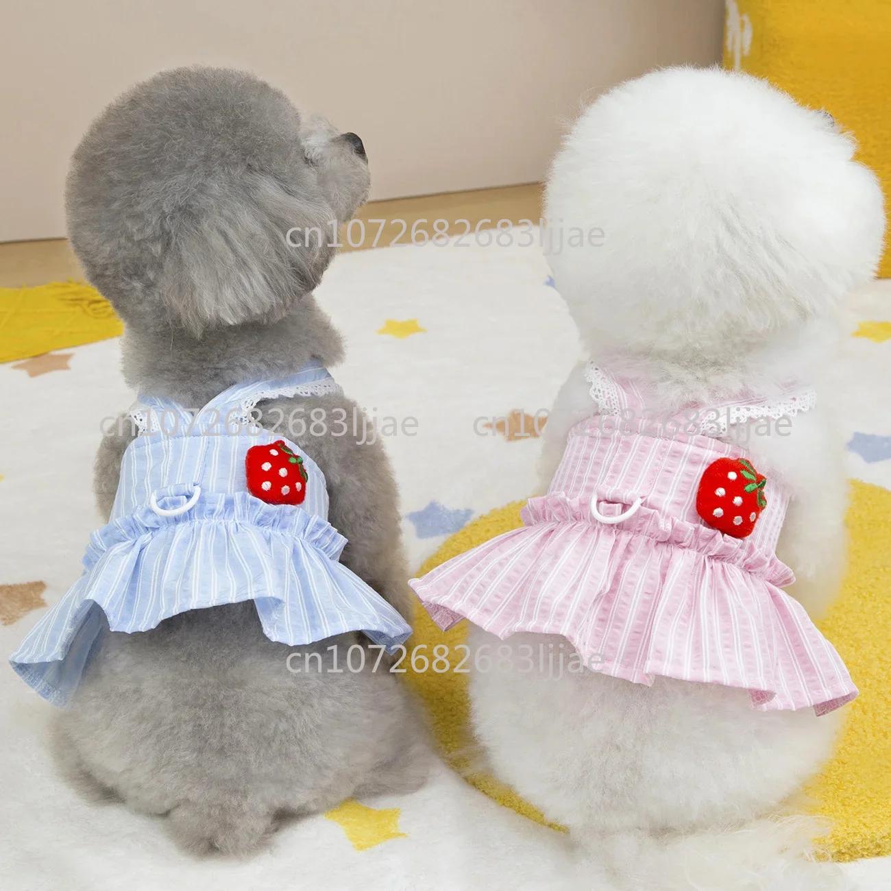 Vêtements pour petits chiens, jupe à laçage pour chiot Bichon, costume pour chien, nouvelle robe d'é