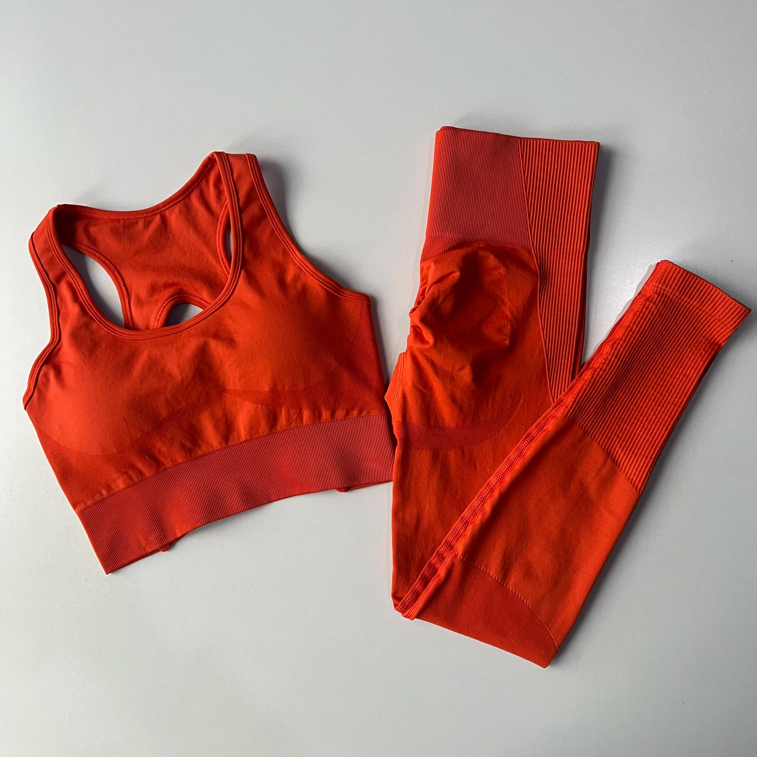 Soutien-gorge de sport antichoc, Leggings, Fitness professionnel, beauté du dos, séchage rapide, tai