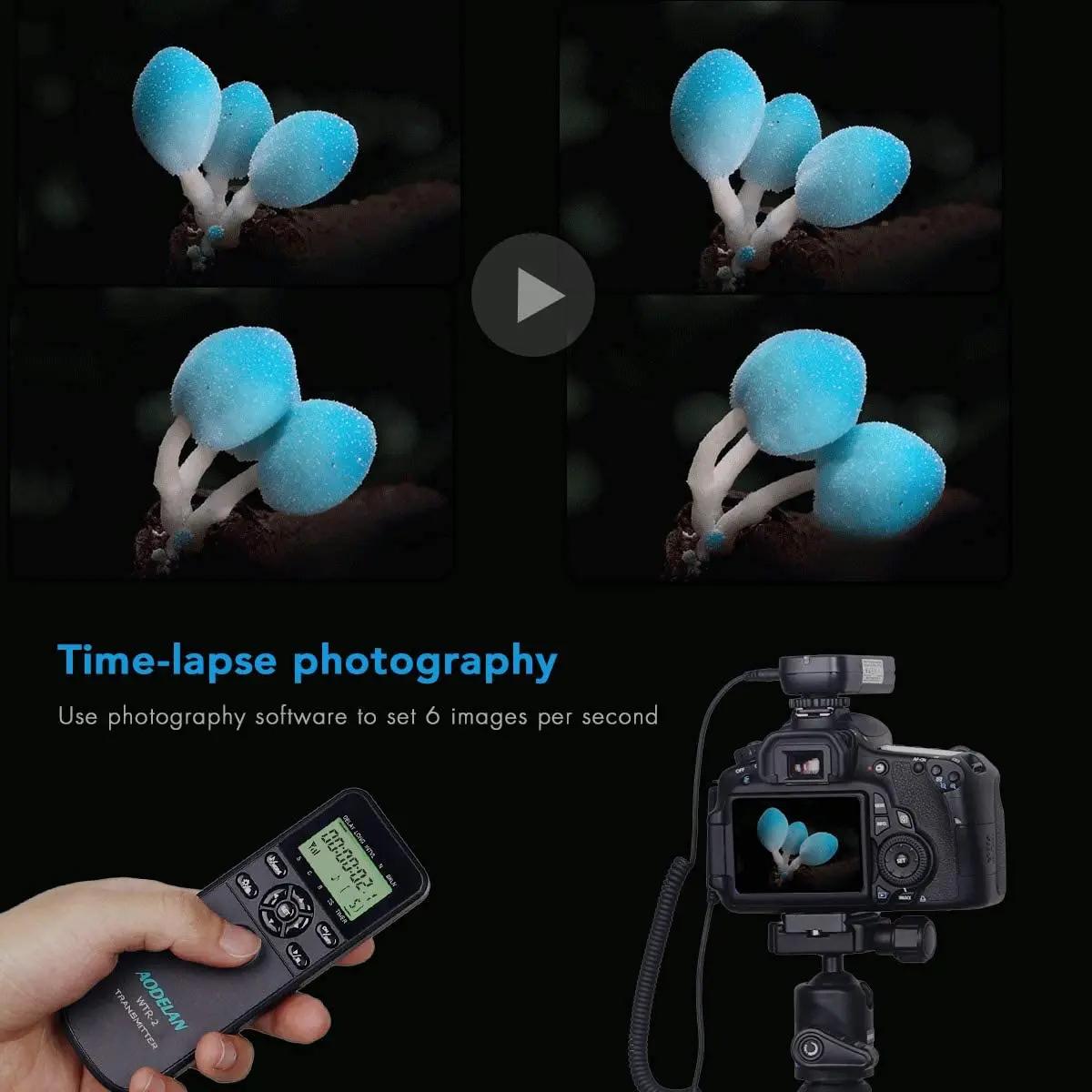 AODELAN minuterie à distance sans fil et déclencheur d'obturation d'appareil photo LCD pour certaine