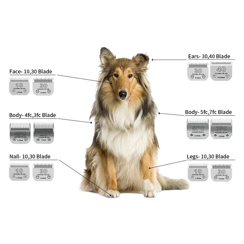 Tondeuses de toilettage pour animaux de compagnie, poignées pour chiens et chats, lame en céramique