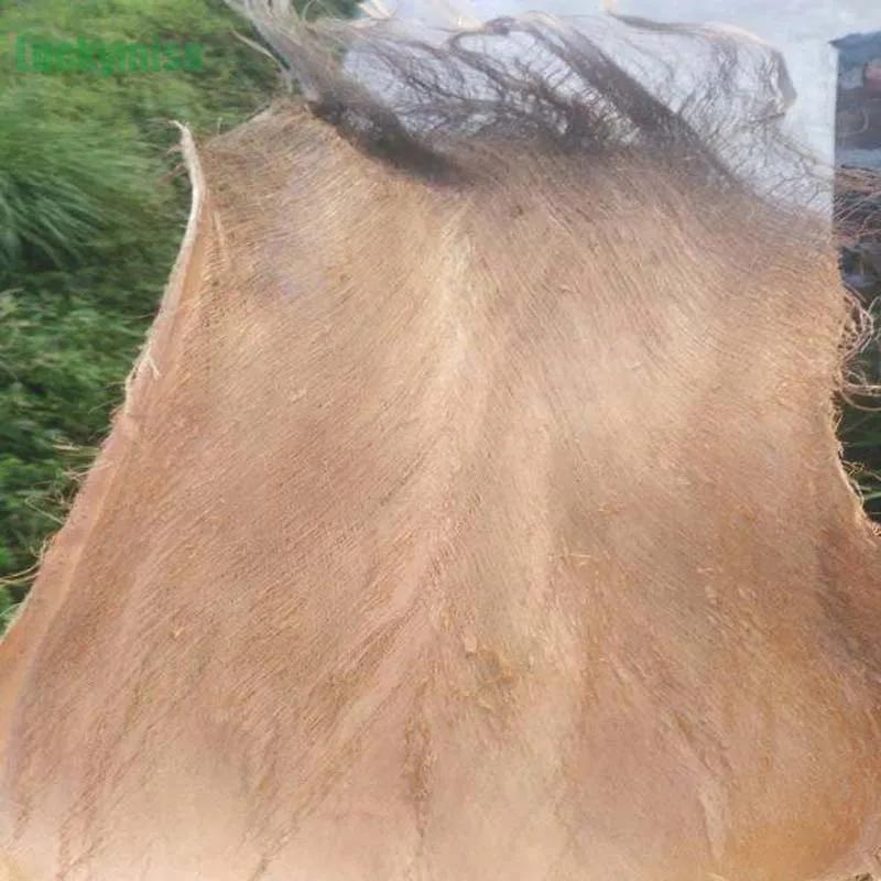 Brosse en soie de noix de coco marron de qualité spéciale, 490g, nid d'oiseau, fouet Taoist, matérie