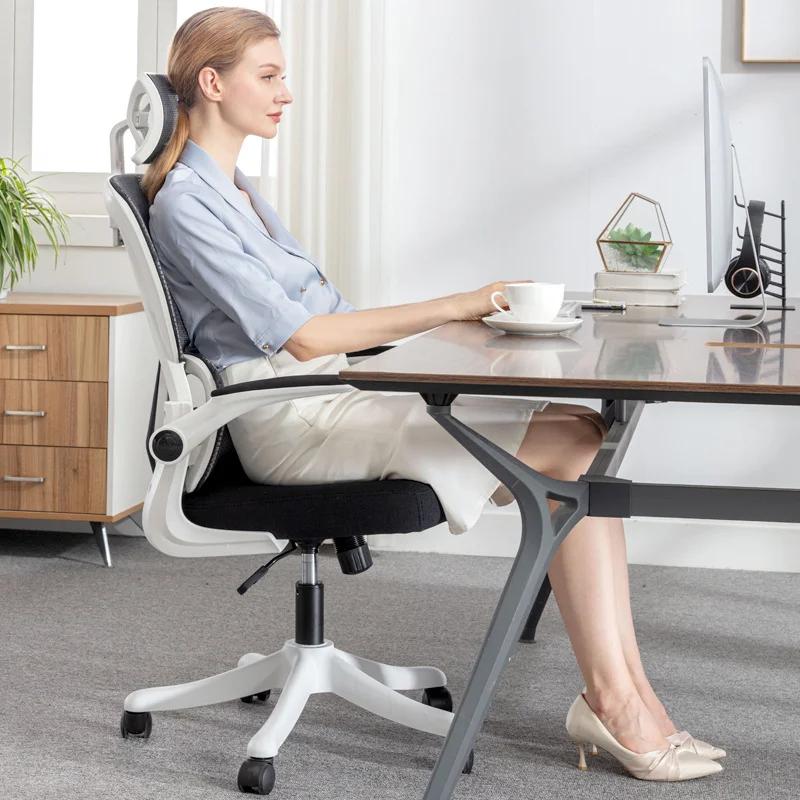 Chaise de bureau ergonomique, chaise de bureau confortable pour étudiants avec Support dorsal, chais