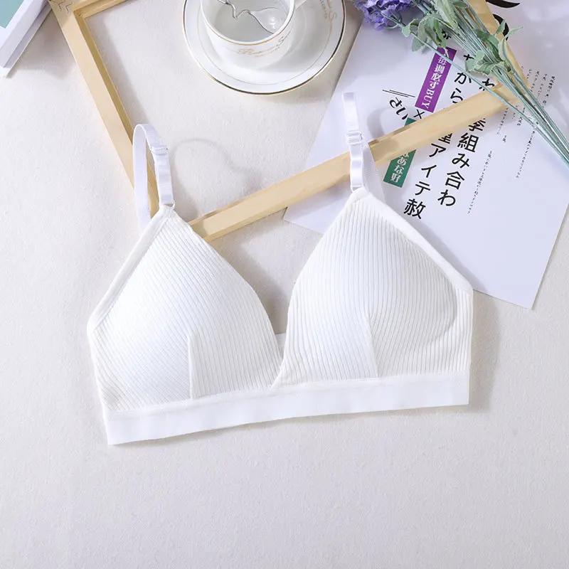 Soutien-gorge de sport en fibre élastique pour femme, sous-vêtement respirant, haut court mince, san