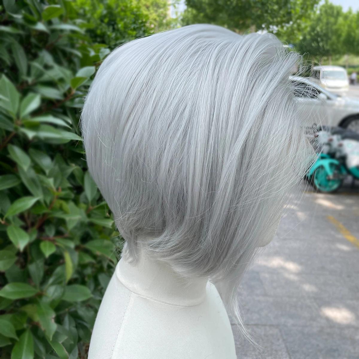 Perruque Lace Front Wig synthétique courte coupe Bob gris argenté, perruques de Cosplay pour hommes