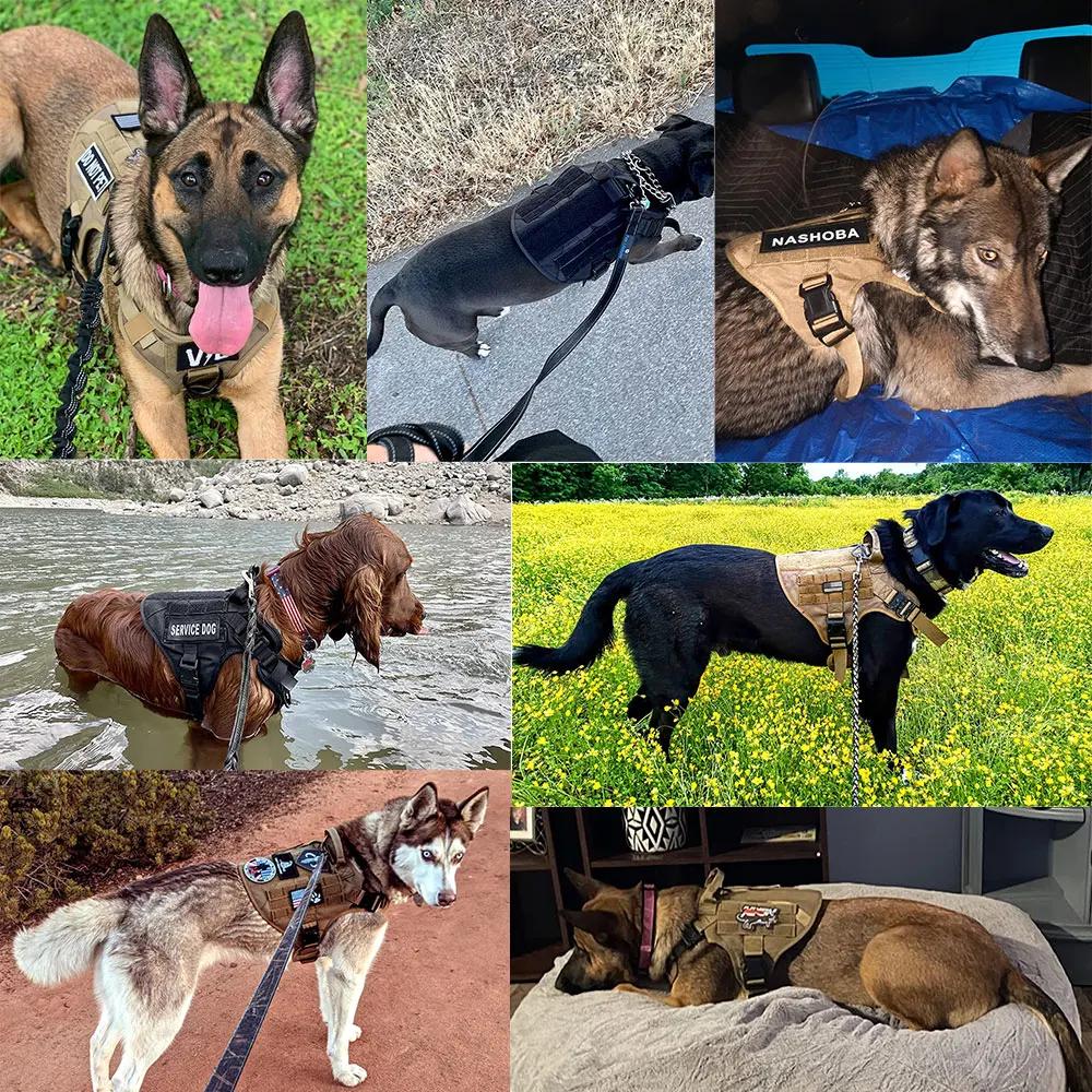 Grand ensemble harnais et laisse pour chien, berger allemand Malinois, gilet de marche, harnais et c