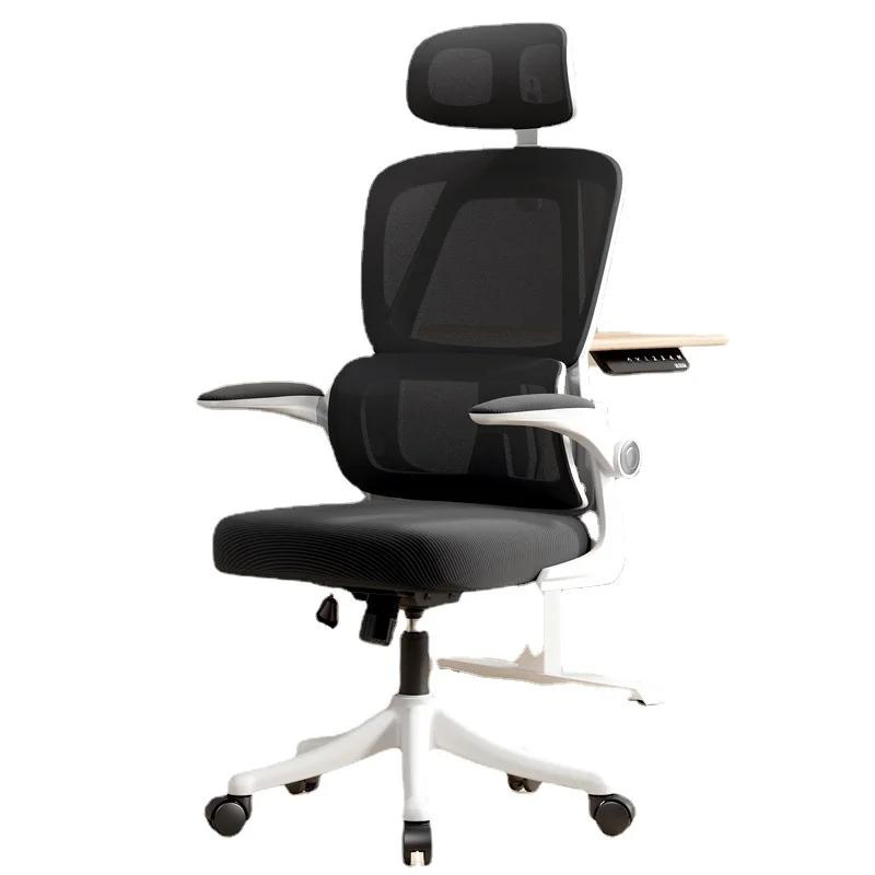 Chaise de bureau ergonomique, chaise de bureau confortable pour étudiants avec Support dorsal, chais