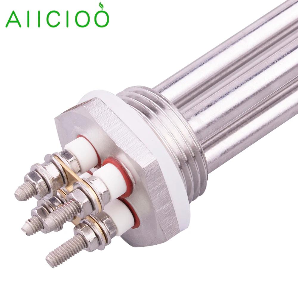 Réchauffeur tubulaire 12v 24v 36v 48v 1 "élément chauffant à filetage BSP DN25 DC 300w 600w 1200w 15