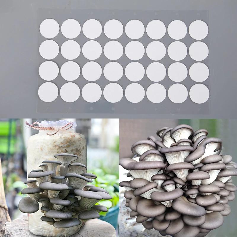 NOUVEAU Lot de 32 autocollants en papier filtre synthétique stérile en maille, membrane hydrophobe r