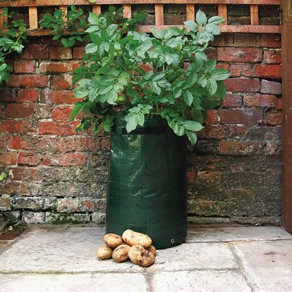 10 Gal. Sac de culture en matériau PE, bac à plantes avec rabat d'accès pour la récolte