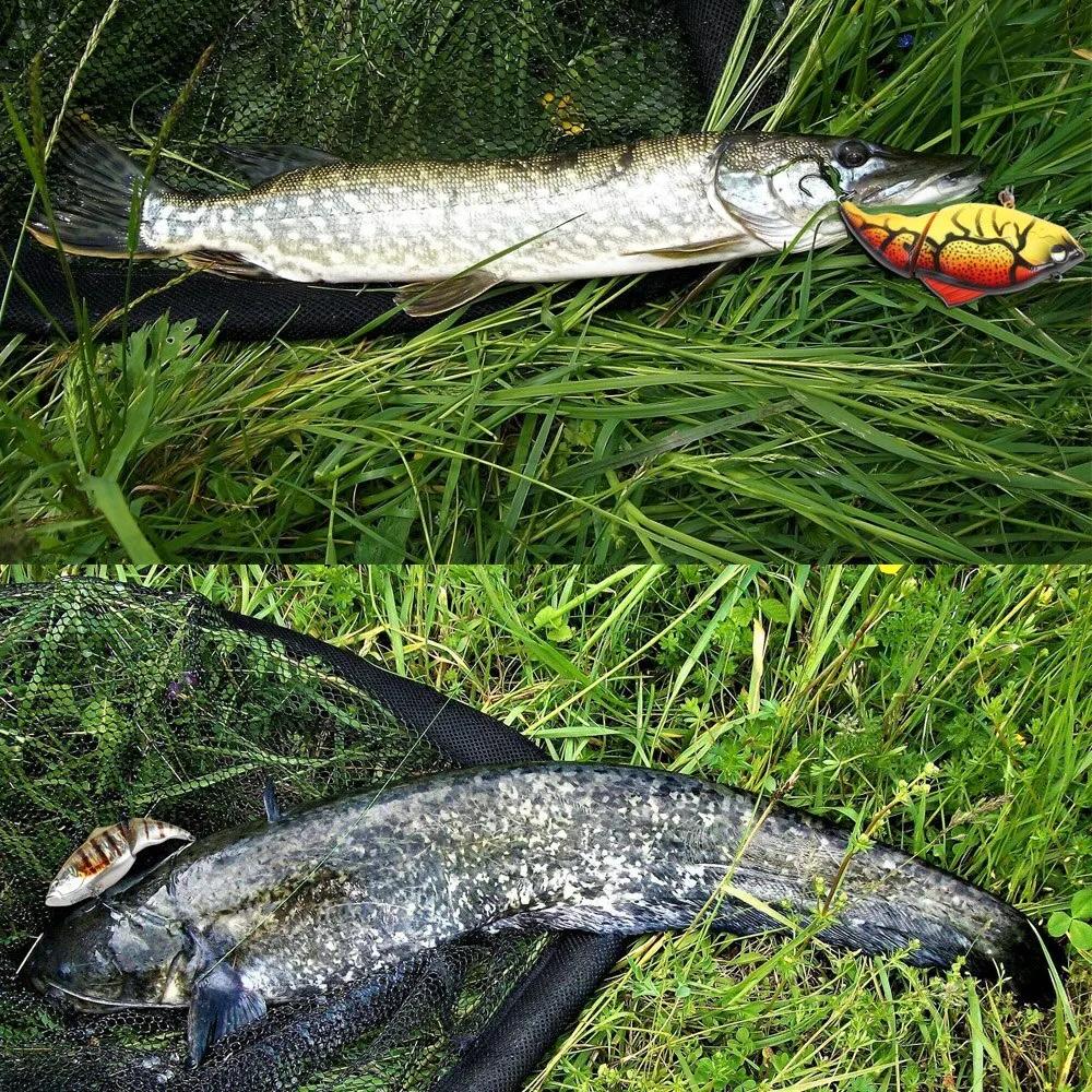 Leurre de pêche à vibration sans lèvres, appâts durs, leurres de pêche à manivelle, coulant lentemen