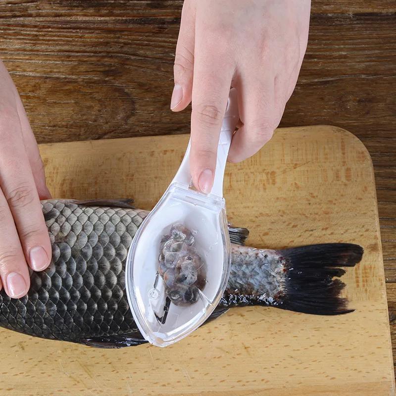 Râpes à écailles de poisson, grattoir, outil de nettoyage du poisson, dispositif de grattage avec co