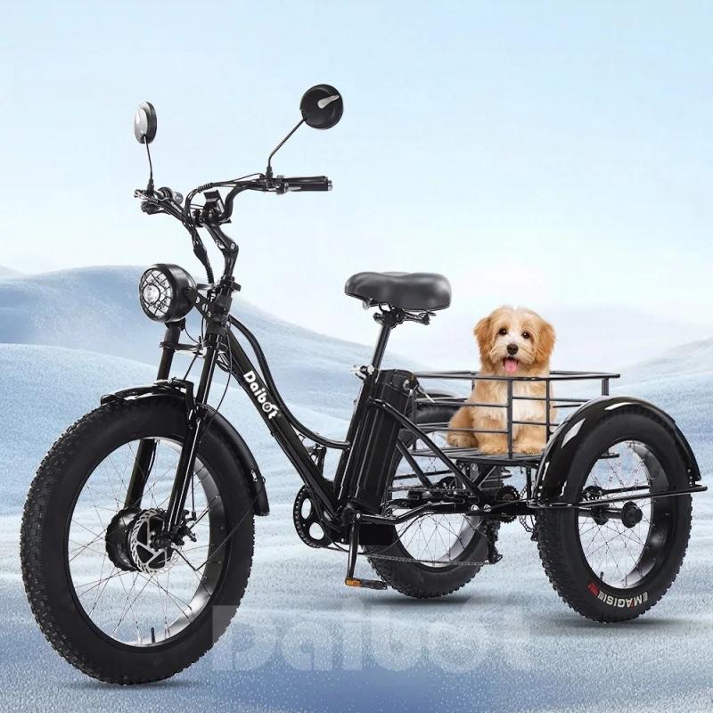 Vélo électrique adulte gros pneu montagne pour homme 48V 750W Tricycle