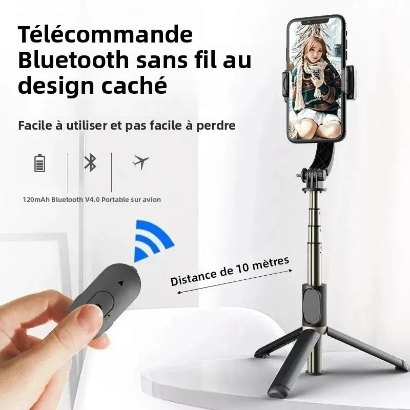 Stabilisateur de cardan portatif