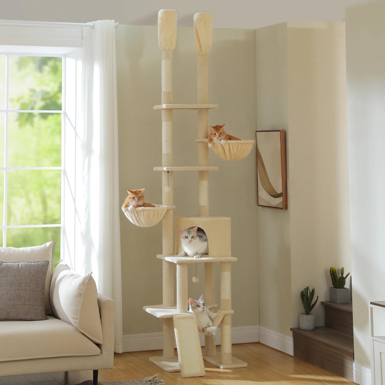 Arbre à chat Cactus du sol au plafond
