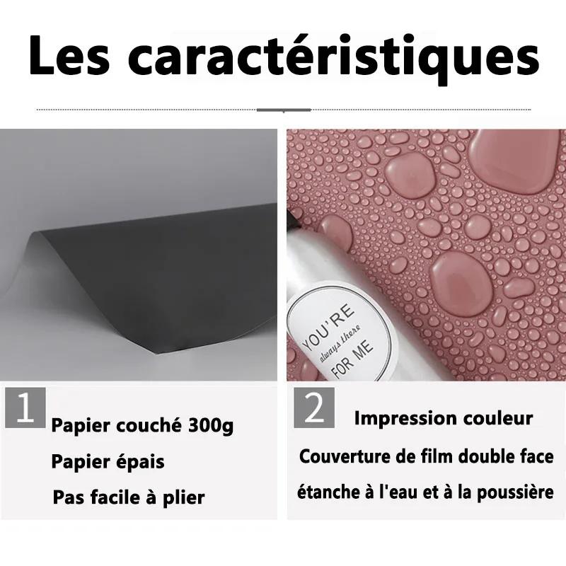 Fond d'écran pour photographie