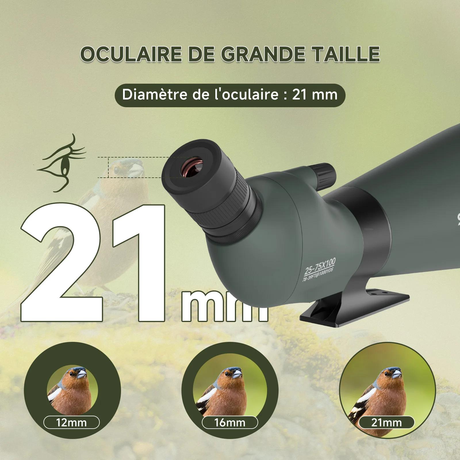 Svbony SV28A Lunette de repérage 25-75x100/20-60x80 FMC Parfaite pour les débutants au tir à l'arc