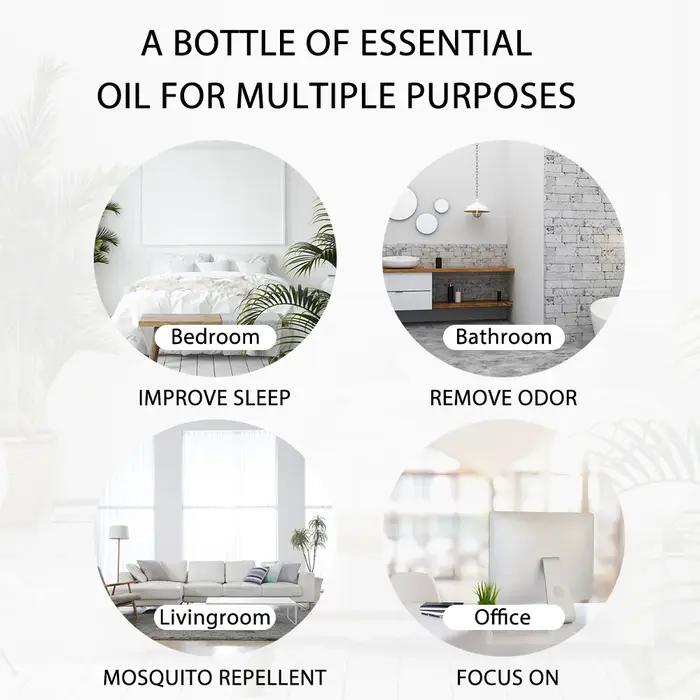 100ML lavande Pure naturel Rose huiles essentielles humidificateur diffuseur vanille menthe poivrée