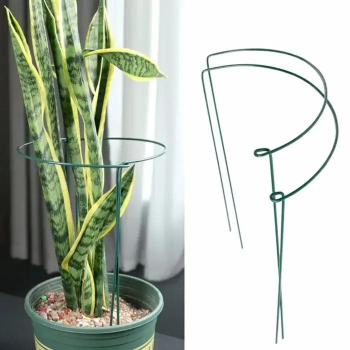 Piquets de Support pour plantes hautes, 6 pièces, Cage semi-ronde en métal pour plantes de jardin et