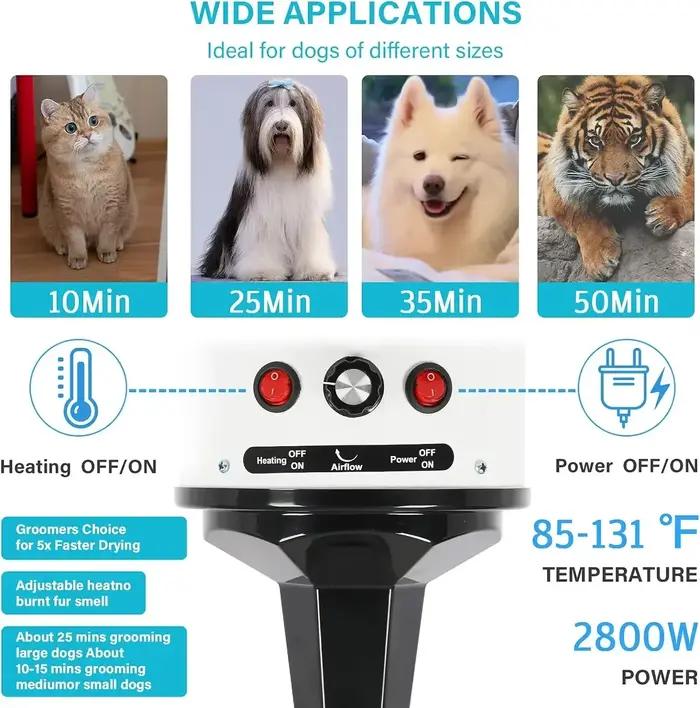 Sèche-cheveux rapide et silencieux pour animaux de compagnie, souffleur de toilettage pour chiens, v