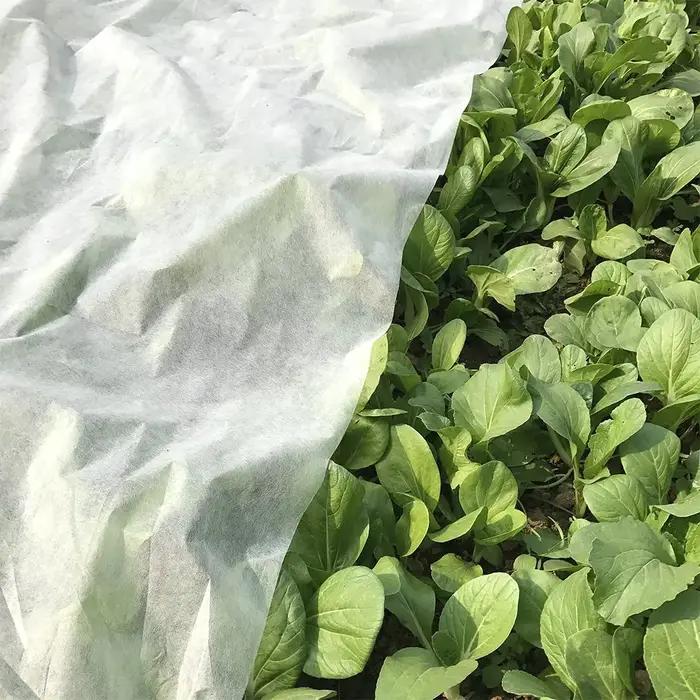 NucleoCover Flottant Plant Blanket, 0.55 oz. 7 ft x 100 ft, Frost Protection and Terrible Weather De