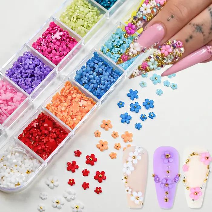Breloques pour ongles en acrylique 3D, 12 grilles (avec perles en acier), fleurs colorées à cinq pét
