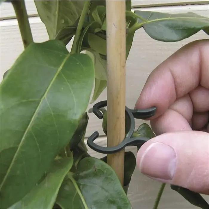 Clips pour plantes de jardin en forme de papillon vert, pince à boucle à levier M, paquet de 100