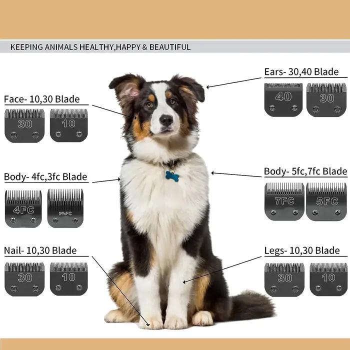 Ensemble de tondeuses de toilettage pour chiens, poignées noires, acier inoxydable, compatible avec