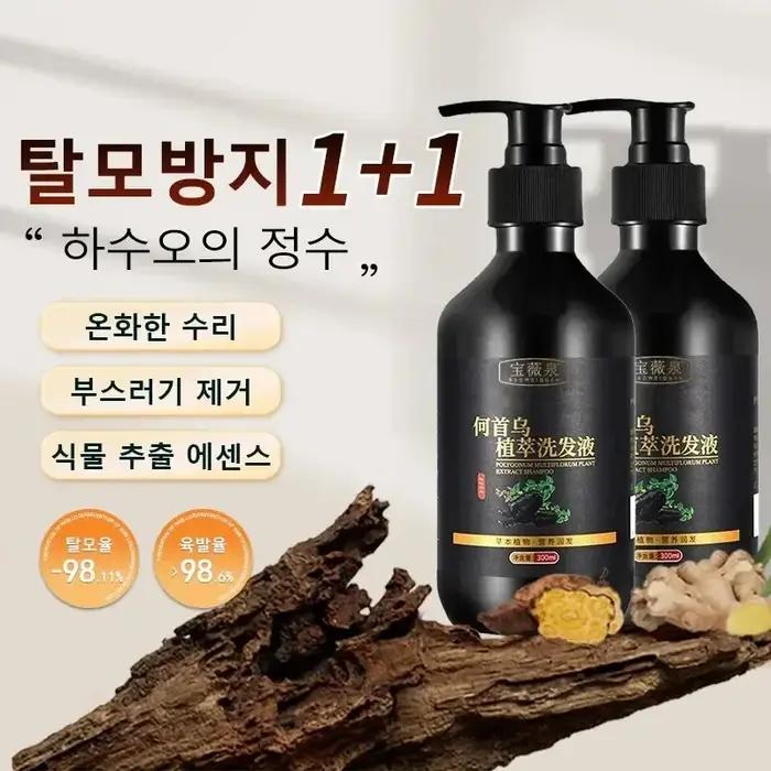 Shampoing à base de plantes Polygonum Multiflorum, contrôle de l'huile, contrôle des pellicules, sha