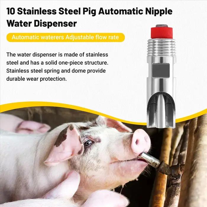 Distributeur d'Eau existent en Acier Inoxydable, Buse pour Boire, Porc 10