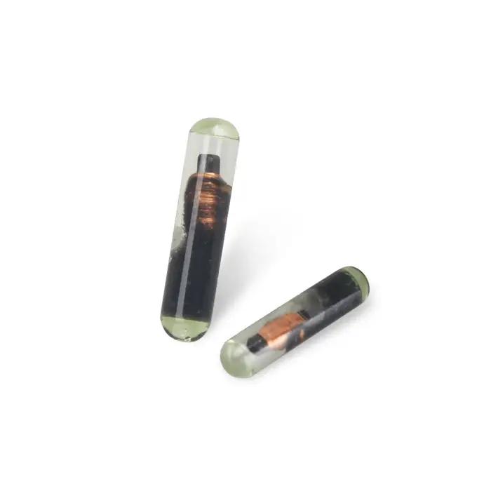 10 pièces Megamos 48 puce transpondeur ID48 T6 puce en verre pour MINI clé outil KD MAX clé outil Pl
