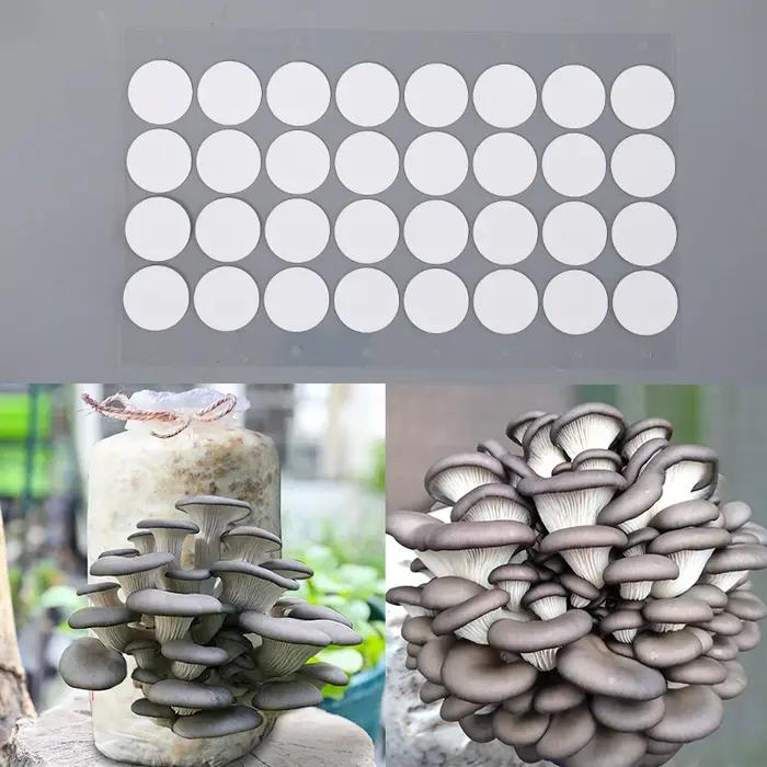 NOUVEAU Lot de 32 autocollants en papier filtre synthétique stérile en maille, membrane hydrophobe r
