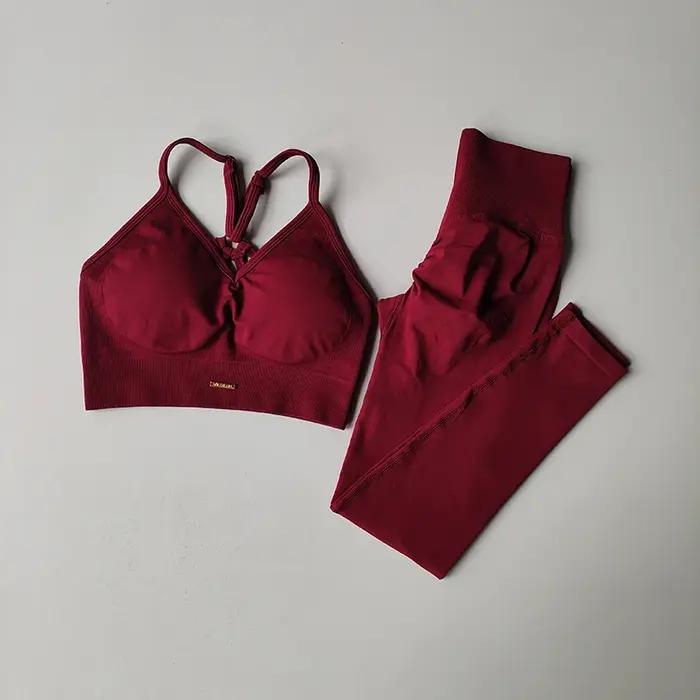 Ensemble de Fitness sans couture pour femmes, soutien-gorge, col en v, Leggings, Yoga, exercice à sé