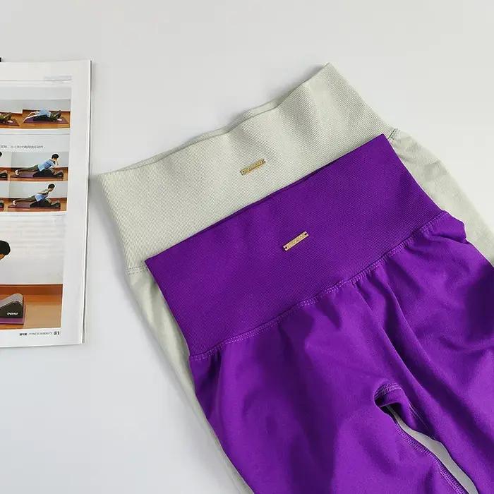 Ensemble de yoga sans couture pour femmes, soutien-gorge de sport taille haute, leggings, ensemble d