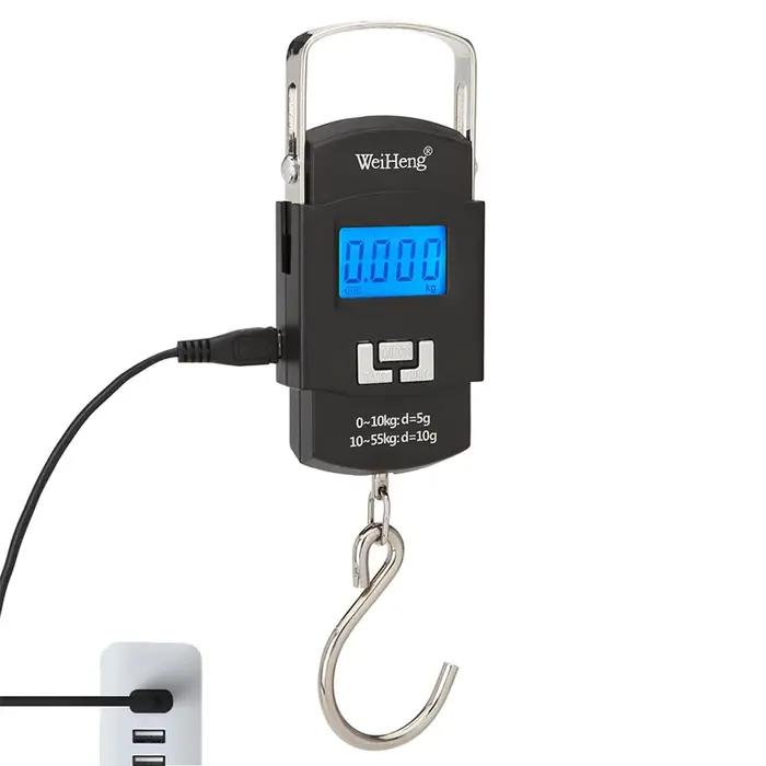 Balance numérique électronique avec chargeur USB 55kg/10g, crochet suspendu, pêche voyage, Double pr