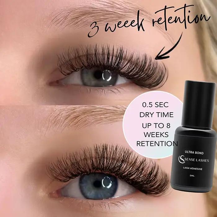 SENSE LASHES 10 bouteilles de colle à cils 5ml adhésif pour cils pegamento de pestañas adhésif exten