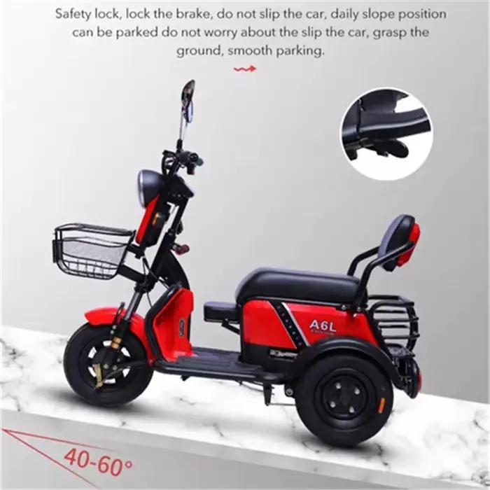 Mini Tricycle Électrique Adulte 3 Lieux 600W 48V Tout Terrain Famille Scooter Vélo Avec Batterie Amovible Occasions Spéciales Famille Expéditions Shopping