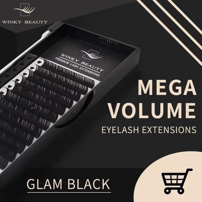 Winky Beauty-Extensions de cils individuelles, avec logo personnalisé, volume russe classique, pour