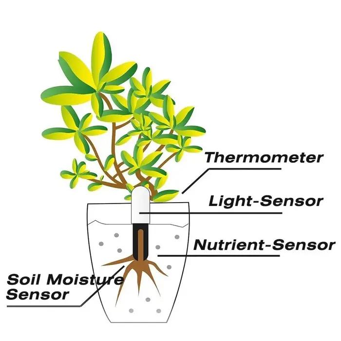 HHCC – moniteur intelligent de flora de fleurs, soins de jardin, plantes, herbe, sol, testeur de fer