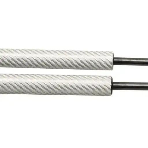 Amortisseurs de coffre arrière pour Lexus IS 2nd (XE20) IS F IS250 IS300 IS350 2005 – 2015, Support