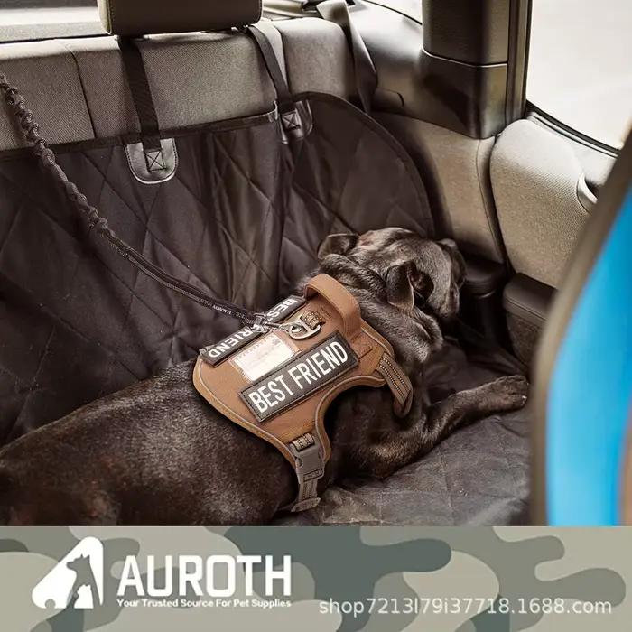 Laisse de chien d'entraînement à tampon élastique antidéflagrante pour promenades sécurisées et confortables de chiens de taille moyenne et grande