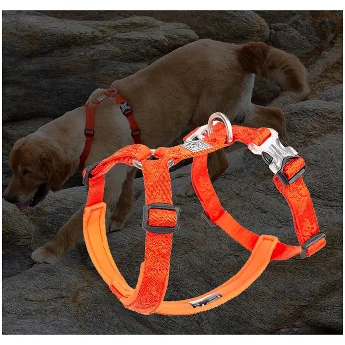 TRUELOVE Pet Hairy Usag Premium Trail Runner No-Pull Harnais pour chien 3M Sangles réfléchissantes C