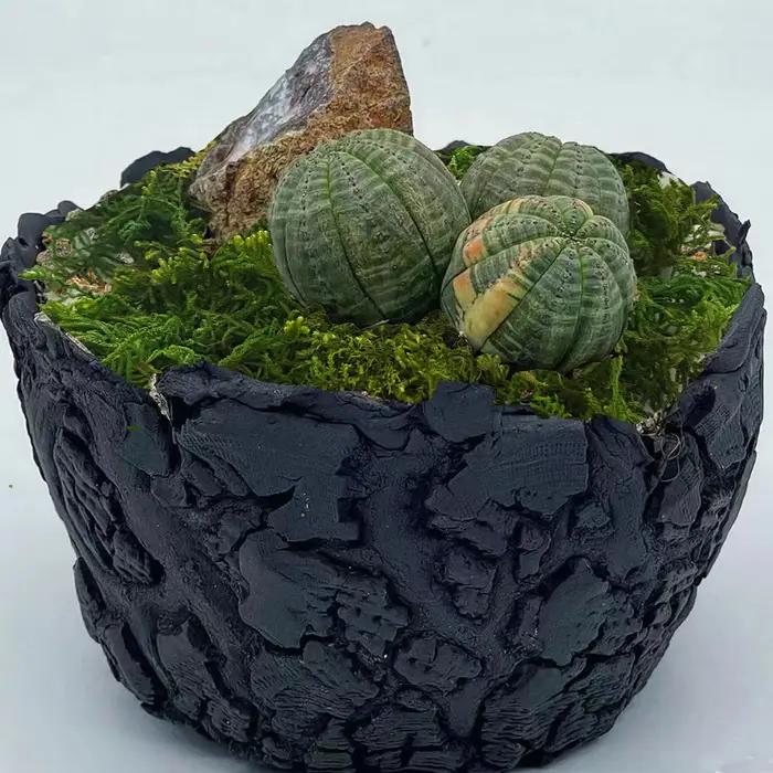 Mousse artificielle verte pour plante en pot, mélange d'orchidées, poteau de mousse de tourbe, artis