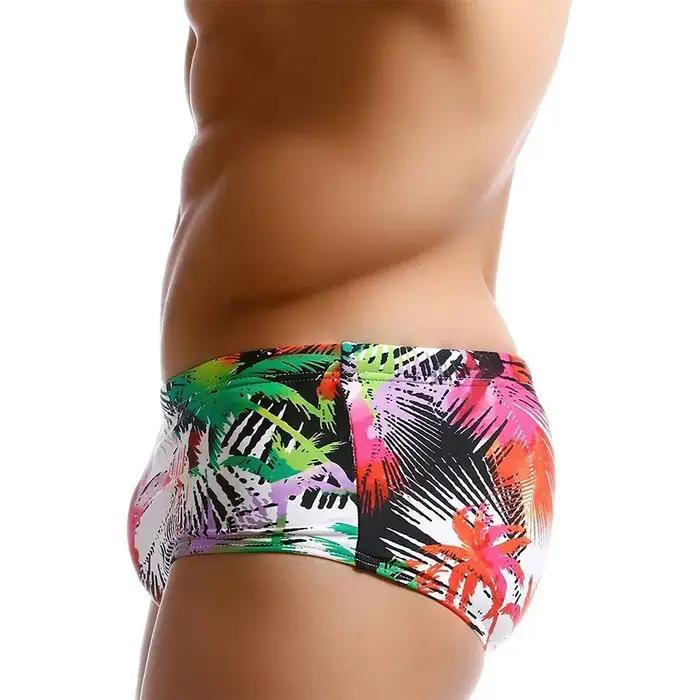 Maillots de bain imperméables multicolores pour hommes, maillots de bain Palm, slips, bikini, shorts
